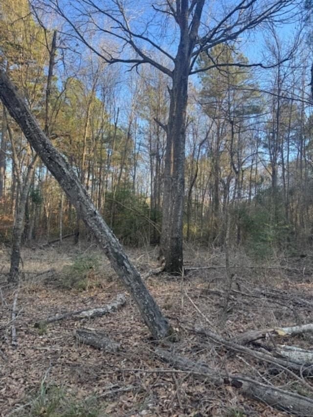 17.38 acres in ANDERSON County - photo 7