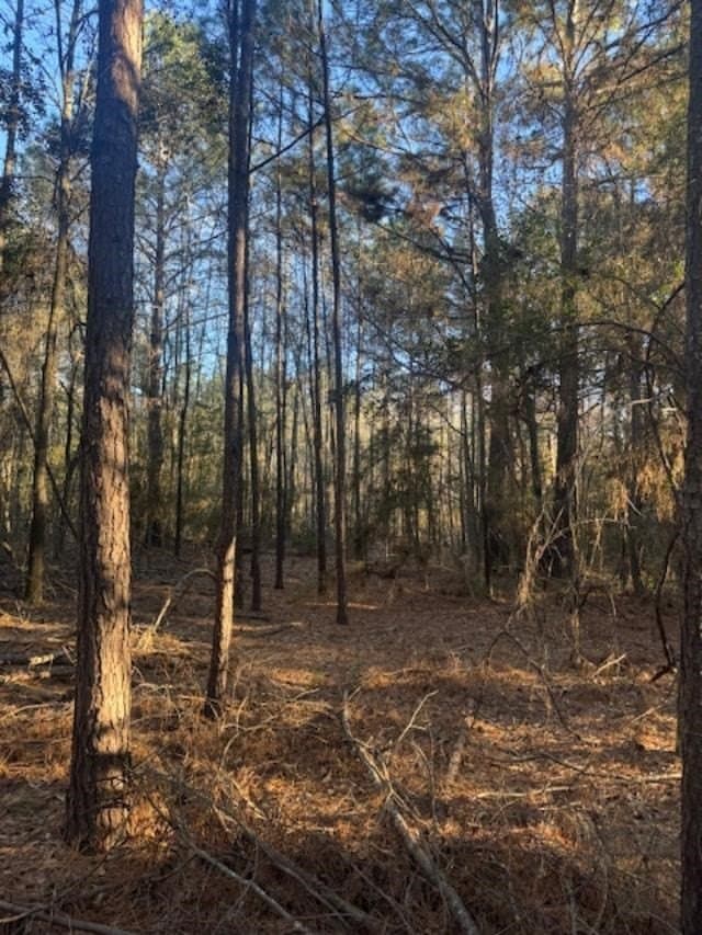17.38 acres in ANDERSON County gallery image 4