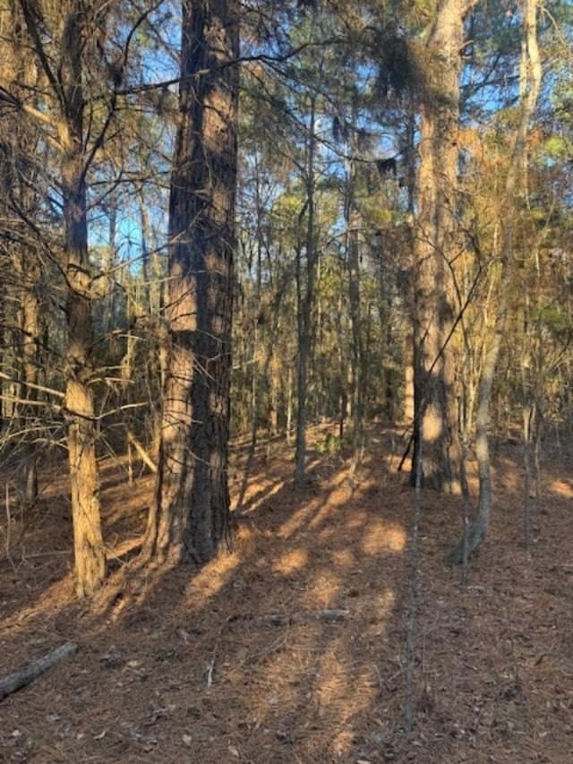 17.38 acres in ANDERSON County gallery image 3