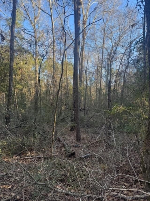 17.38 acres in ANDERSON County featured view
