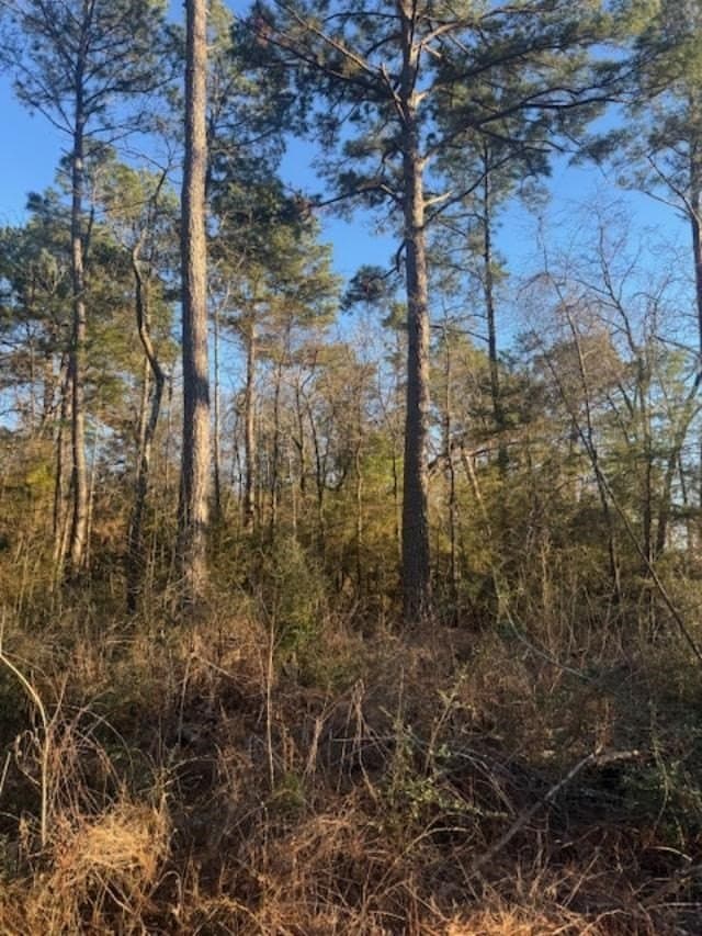 17.38 acres in ANDERSON County - photo 8