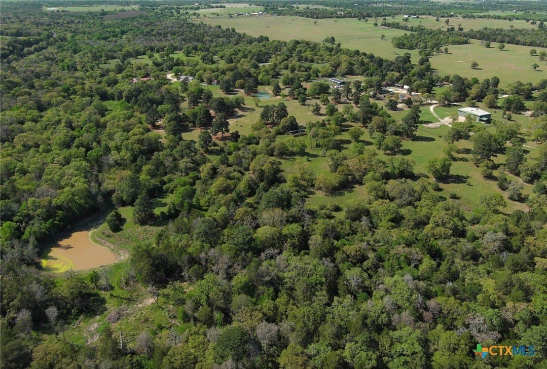 77.21 acres in Bastrop County gallery image 3