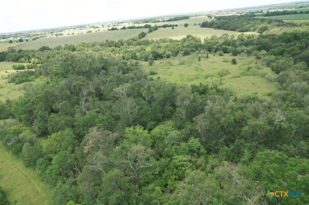91.71 acres in Milam County featured view