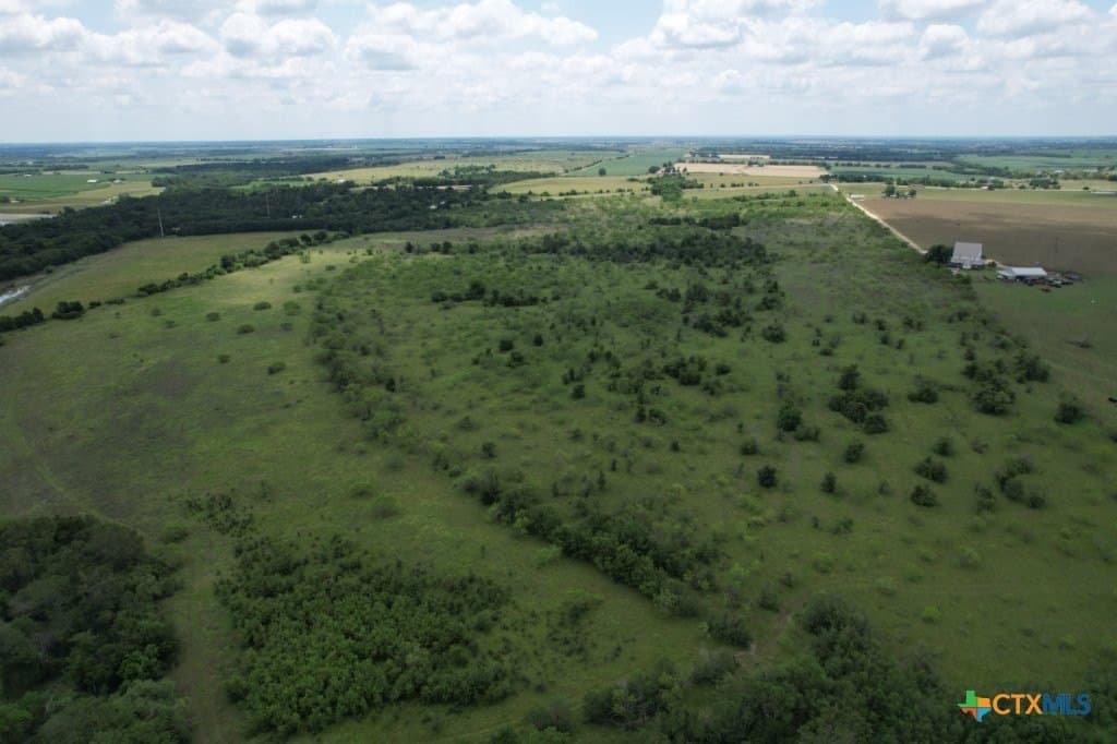 91.71 acres in Milam County gallery image 4