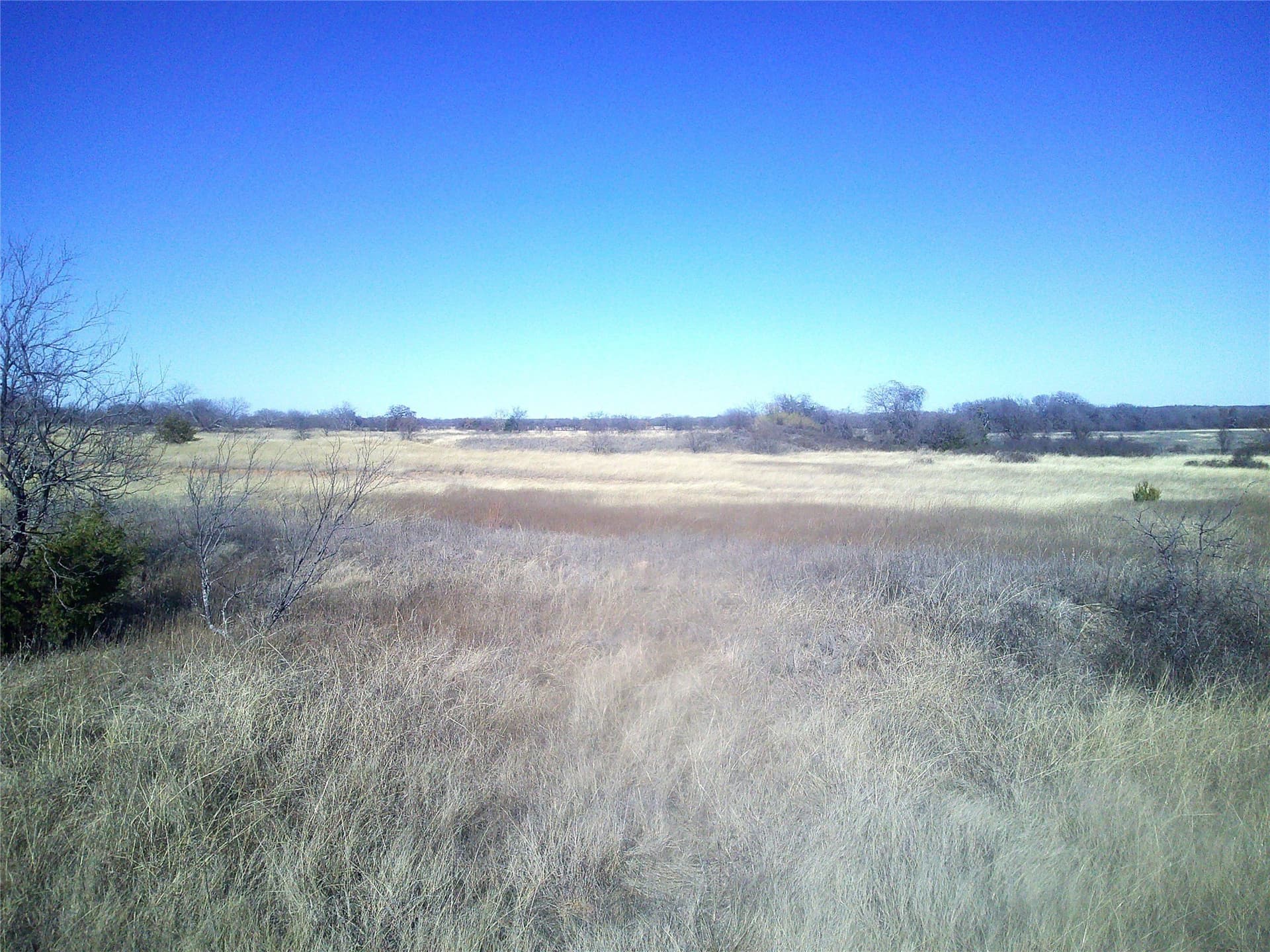 11.4 acres in Wise County featured view