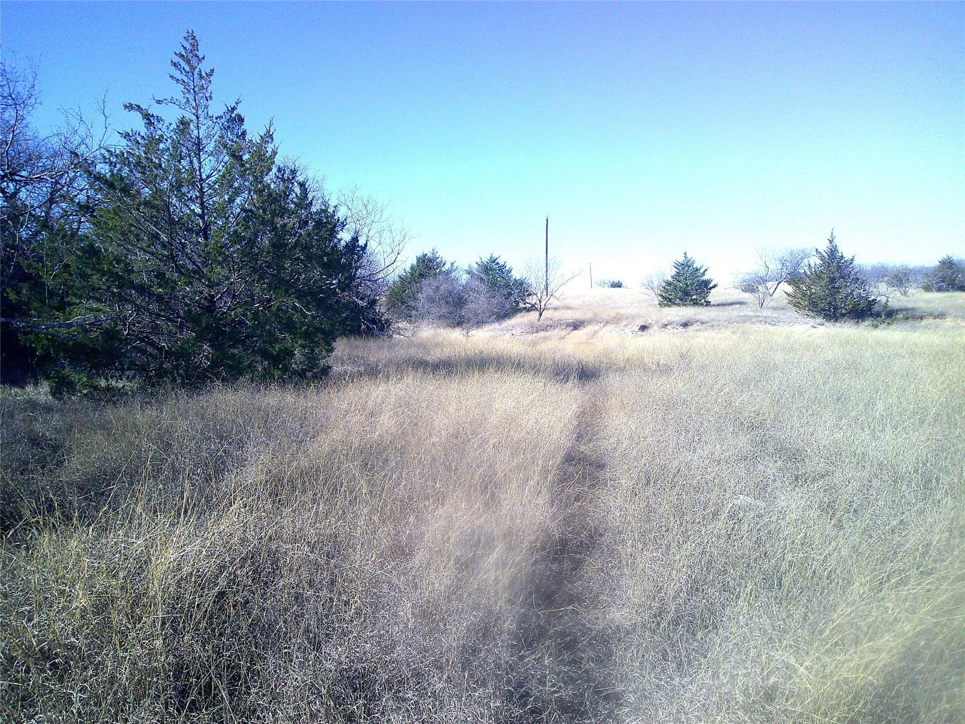 11.4 acres in Wise County gallery image 3