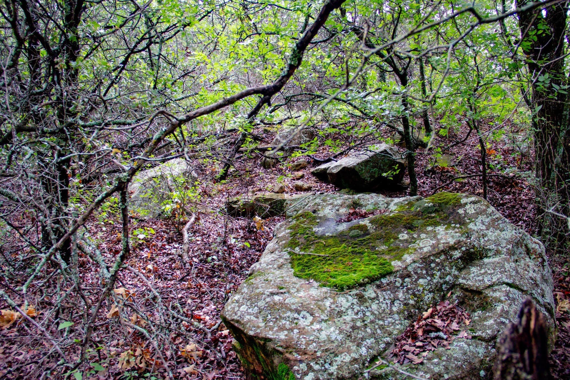209 acres in Jack County - photo 13