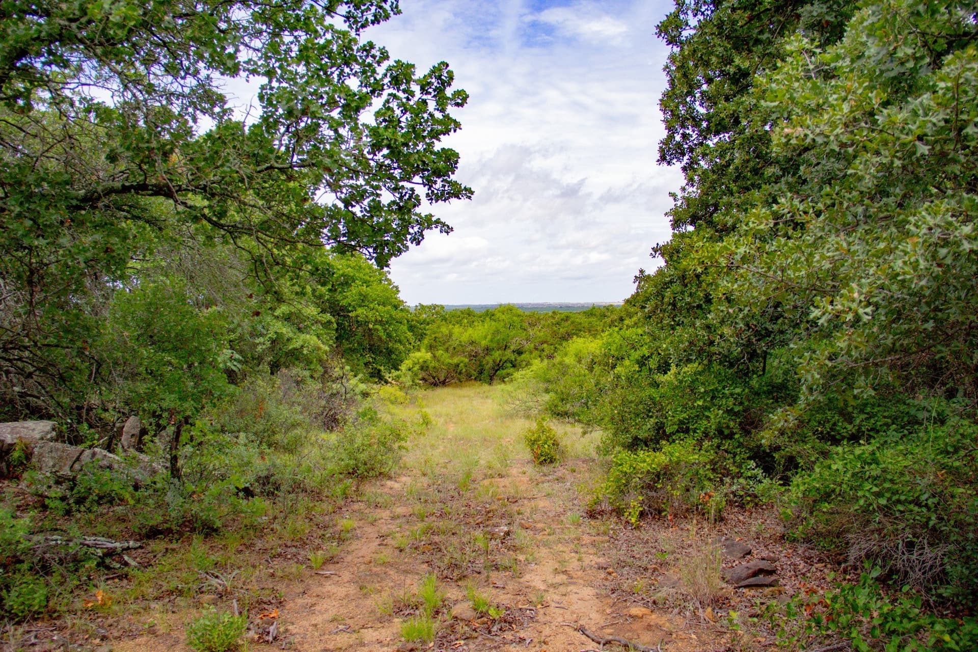 209 acres in Jack County - photo 22