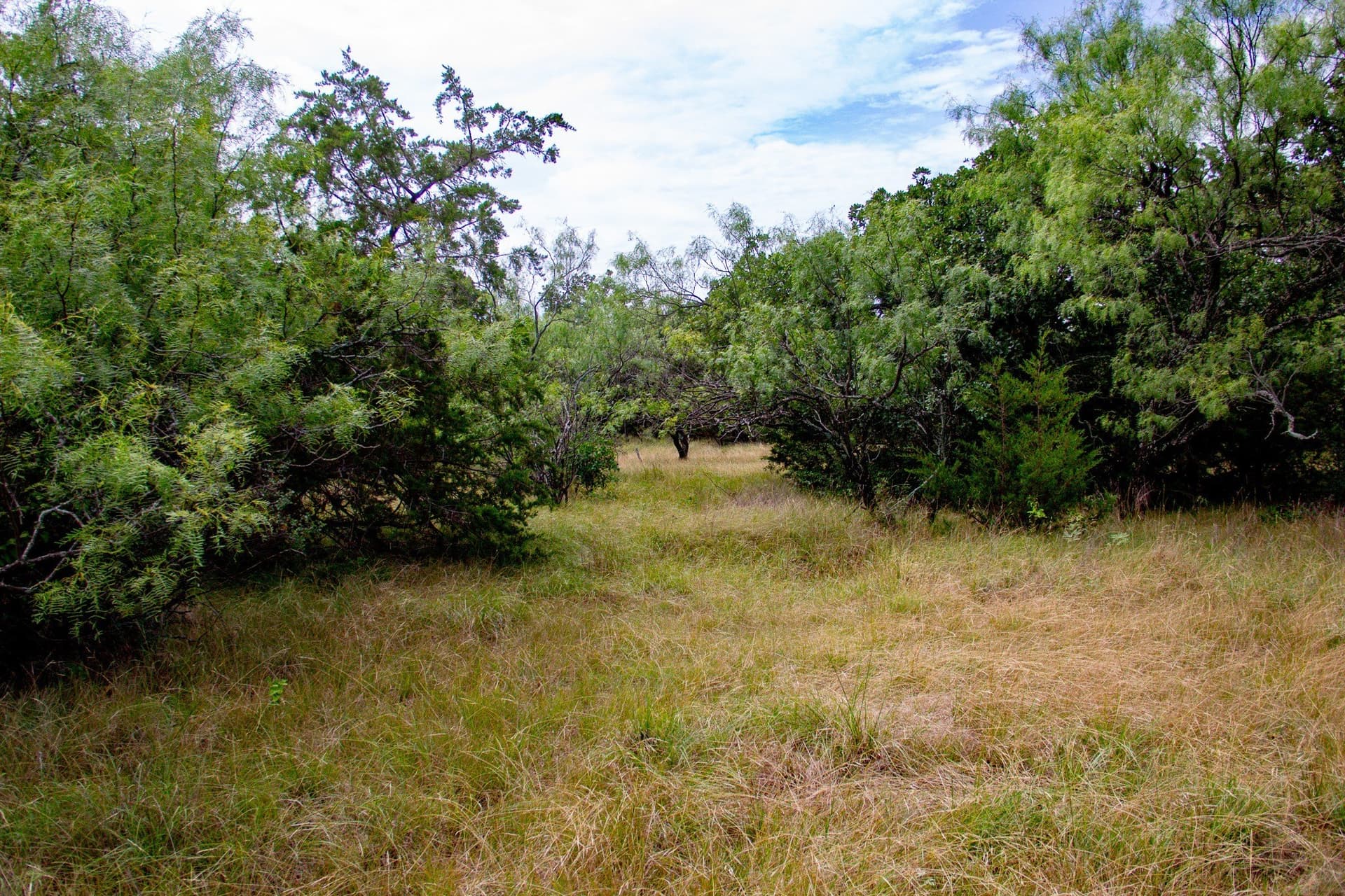 209 acres in Jack County - photo 31