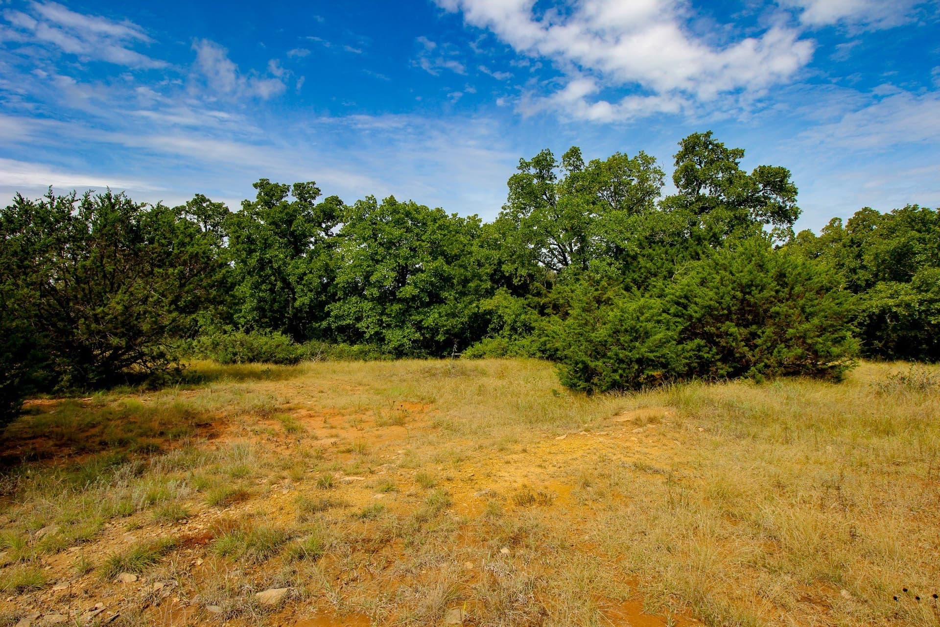 209 acres in Jack County - photo 26