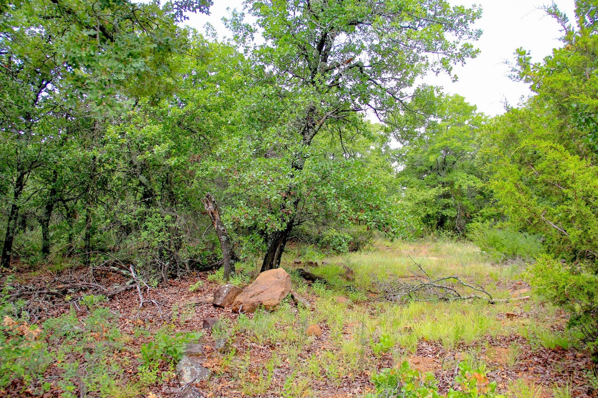 209 acres in Jack County - photo 21