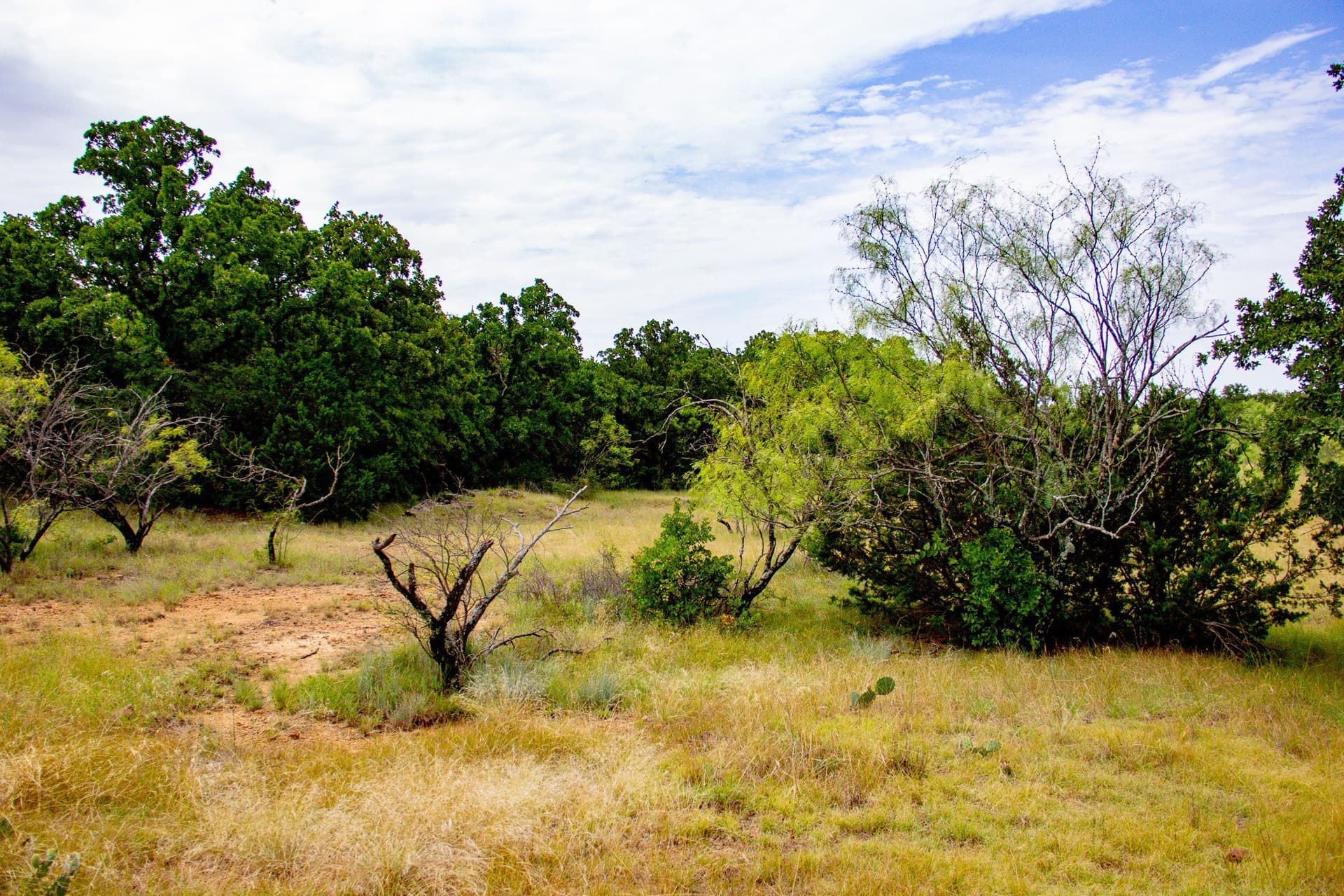 209 acres in Jack County - photo 32