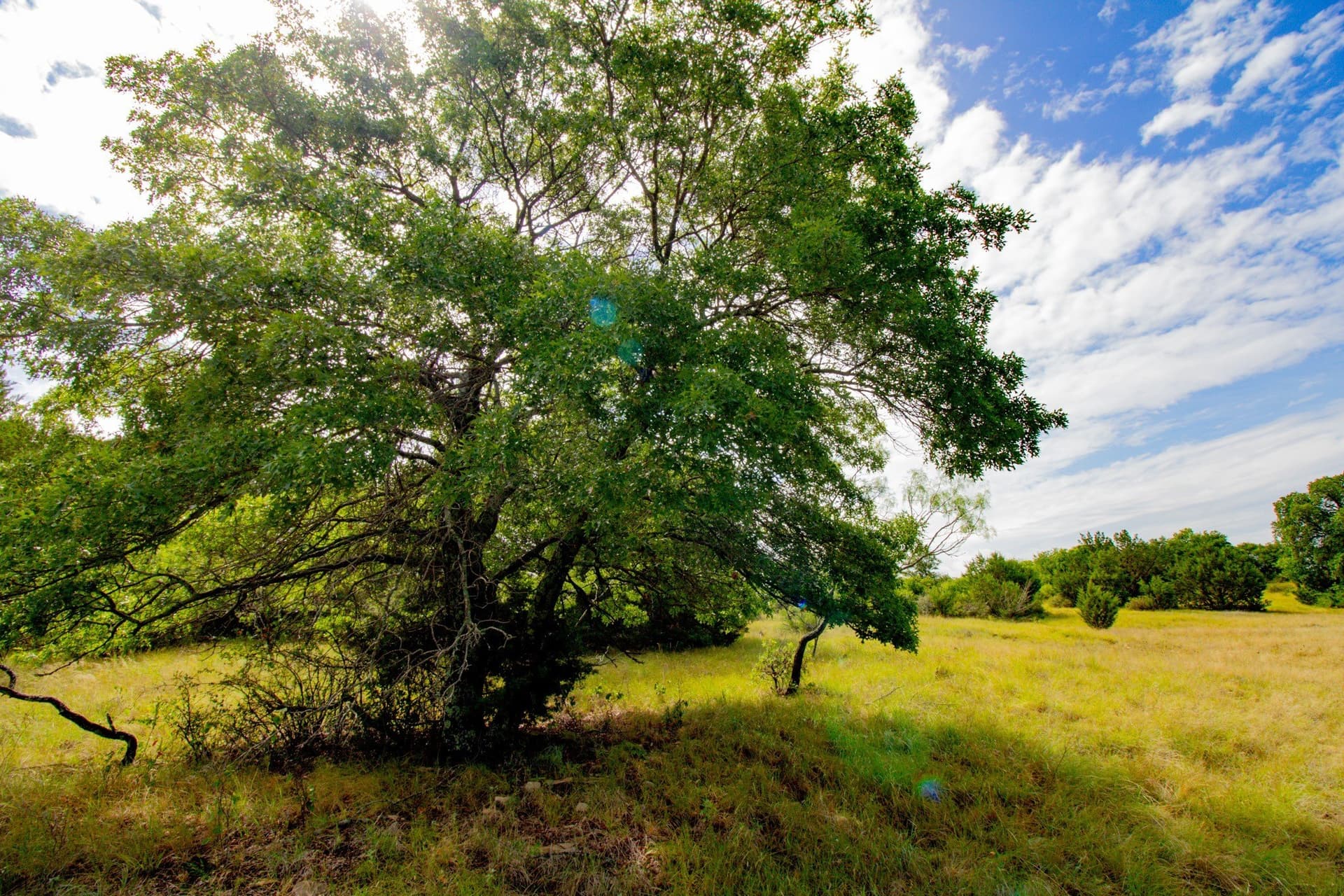 209 acres in Jack County - photo 18