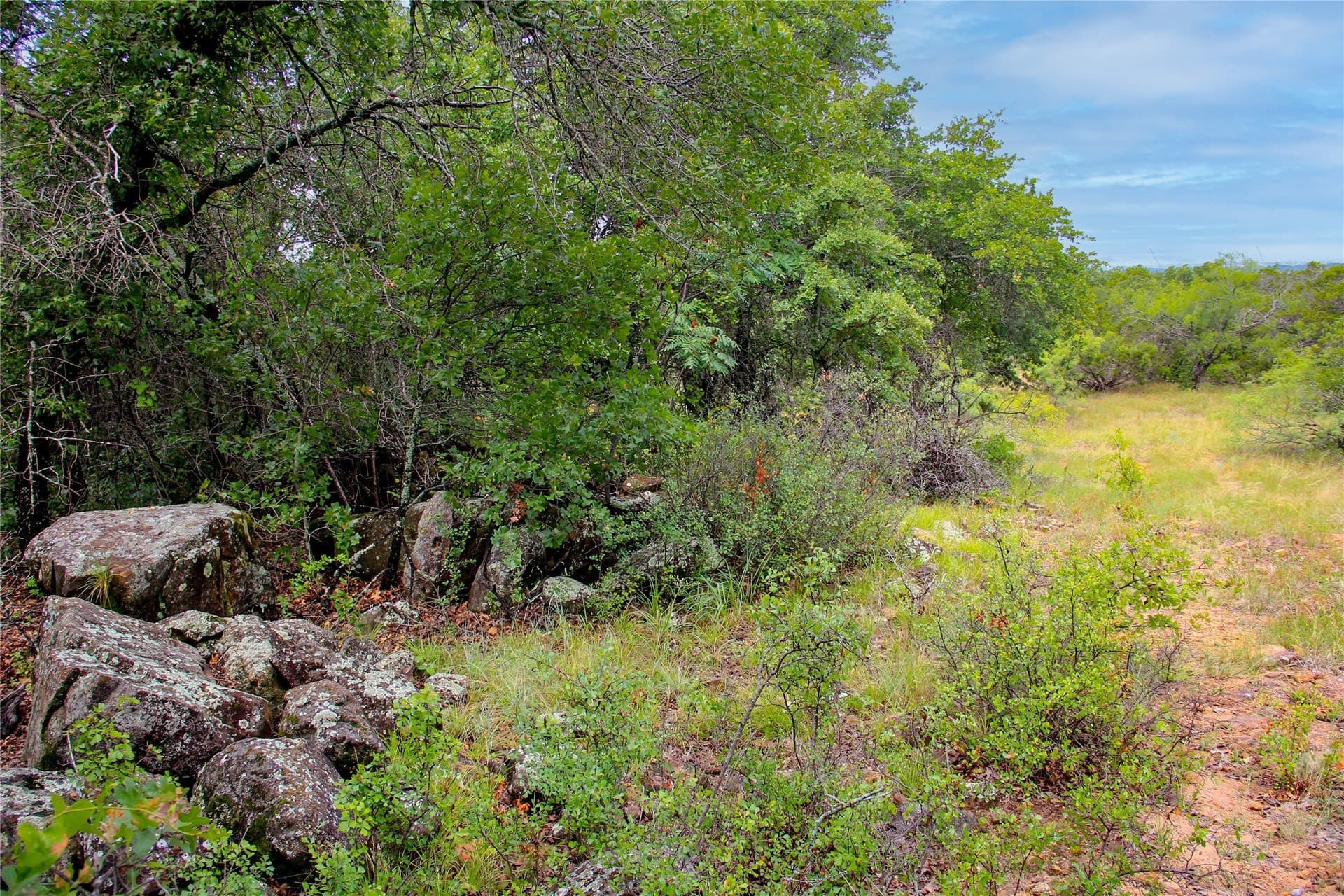 209 acres in Jack County - photo 29