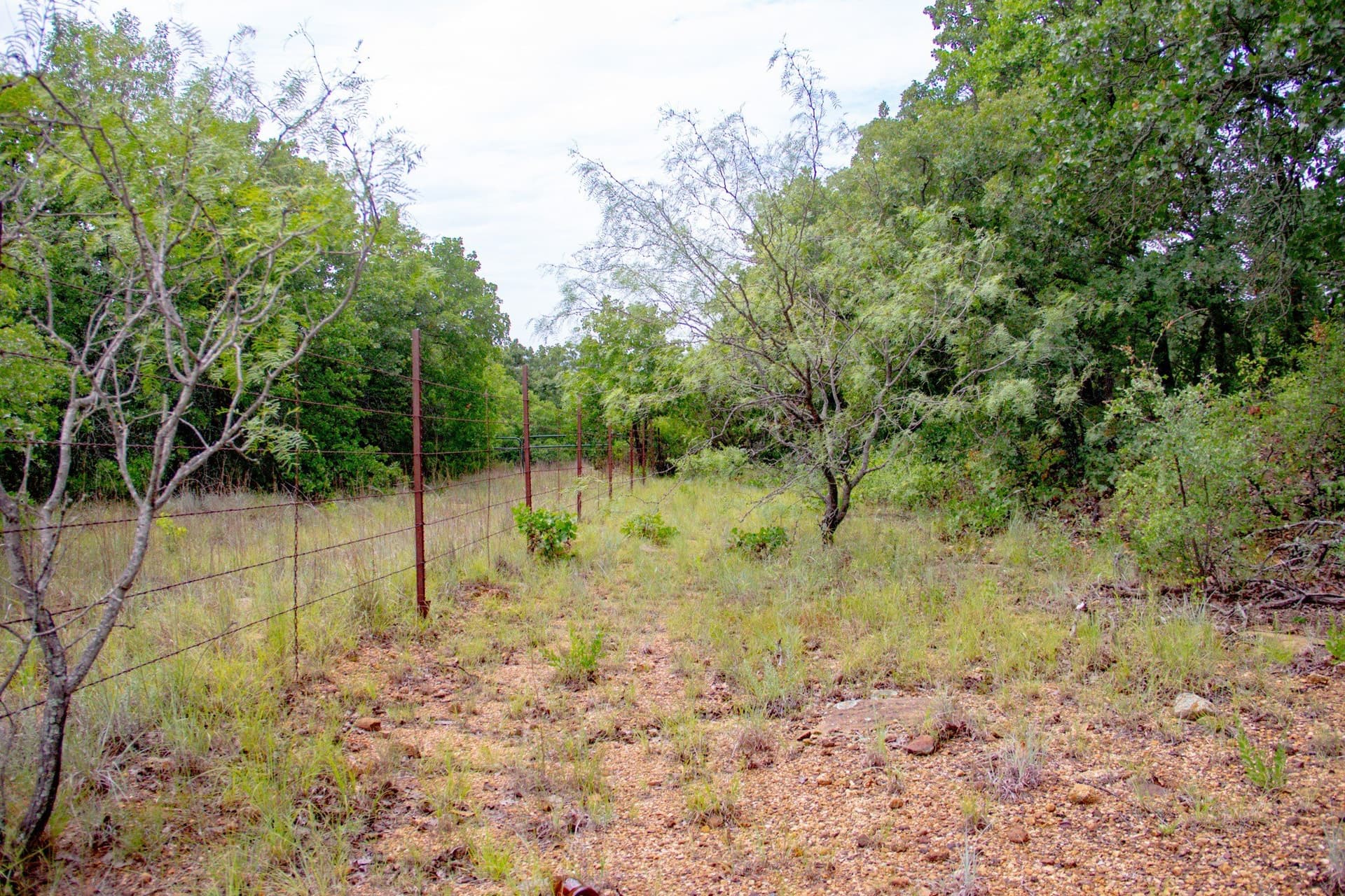 209 acres in Jack County - photo 15