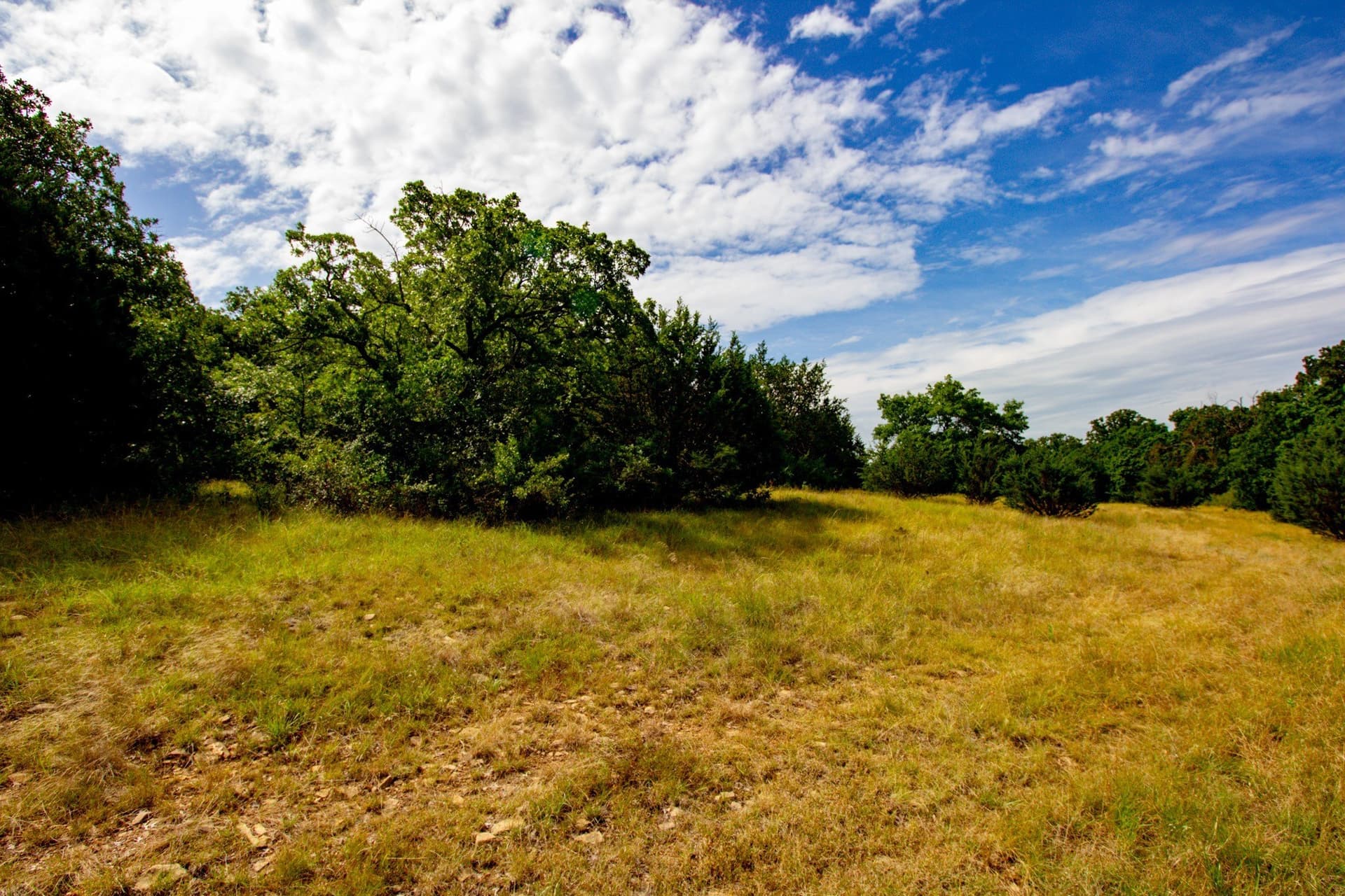 209 acres in Jack County - photo 19