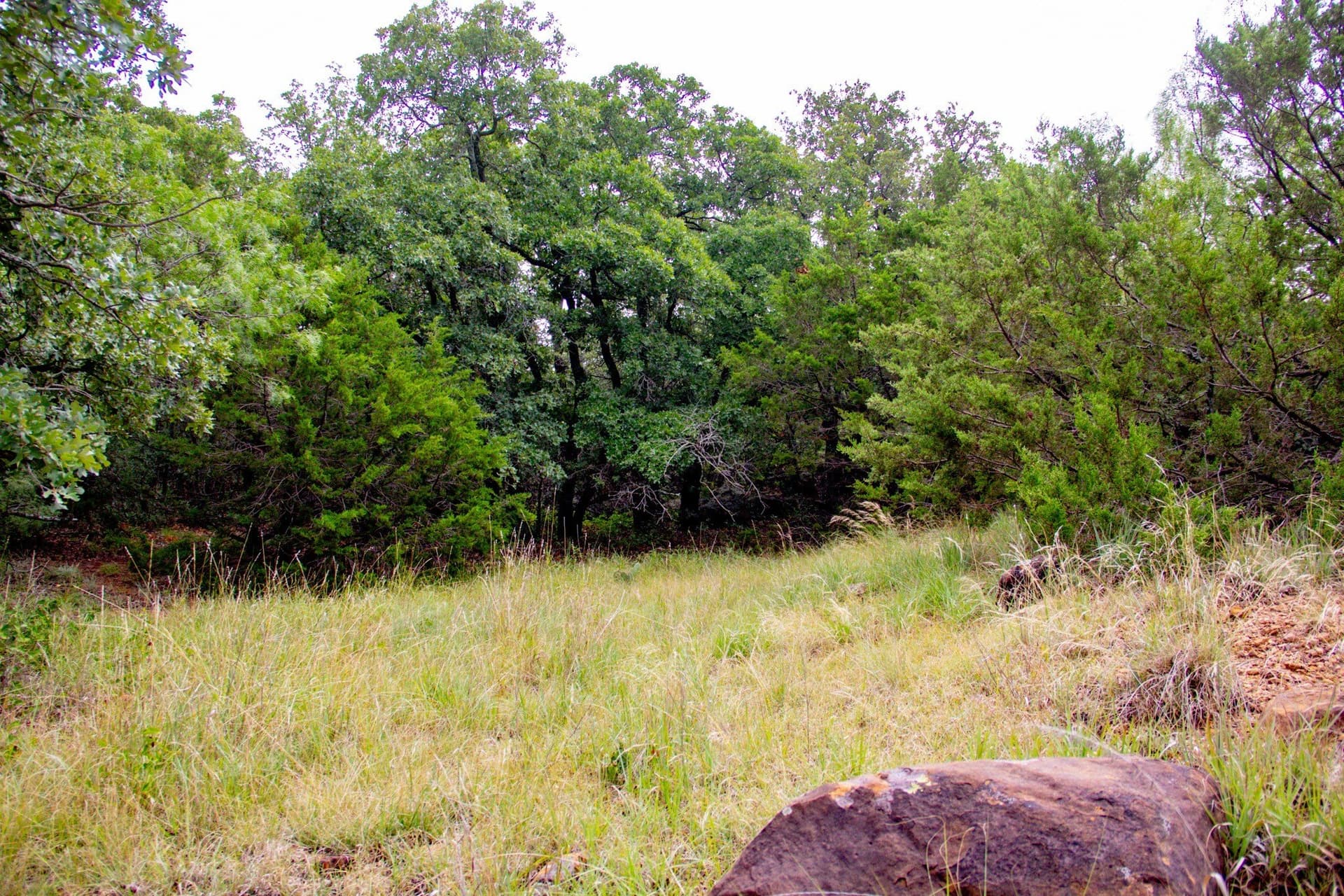 209 acres in Jack County - photo 20