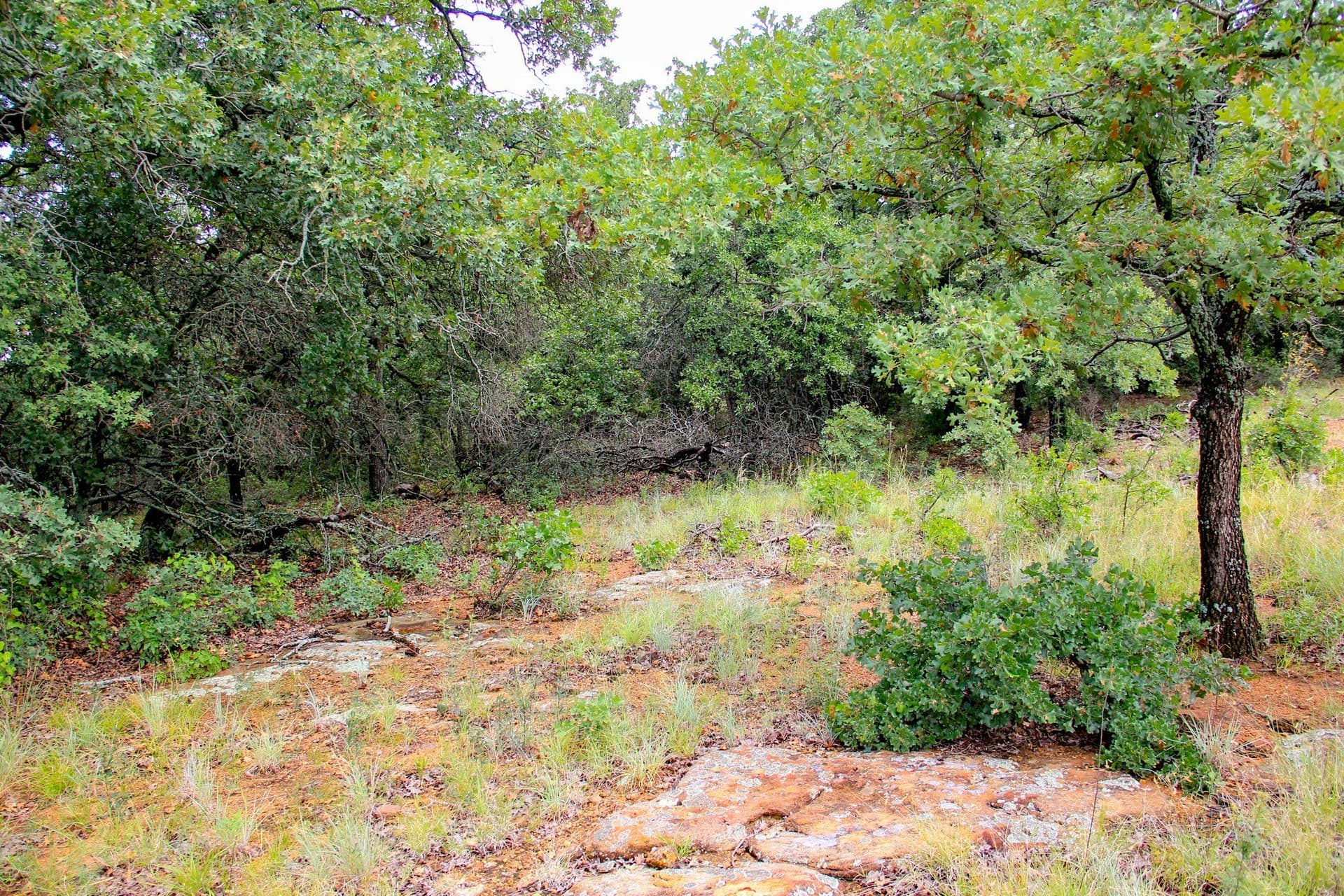 209 acres in Jack County - photo 16