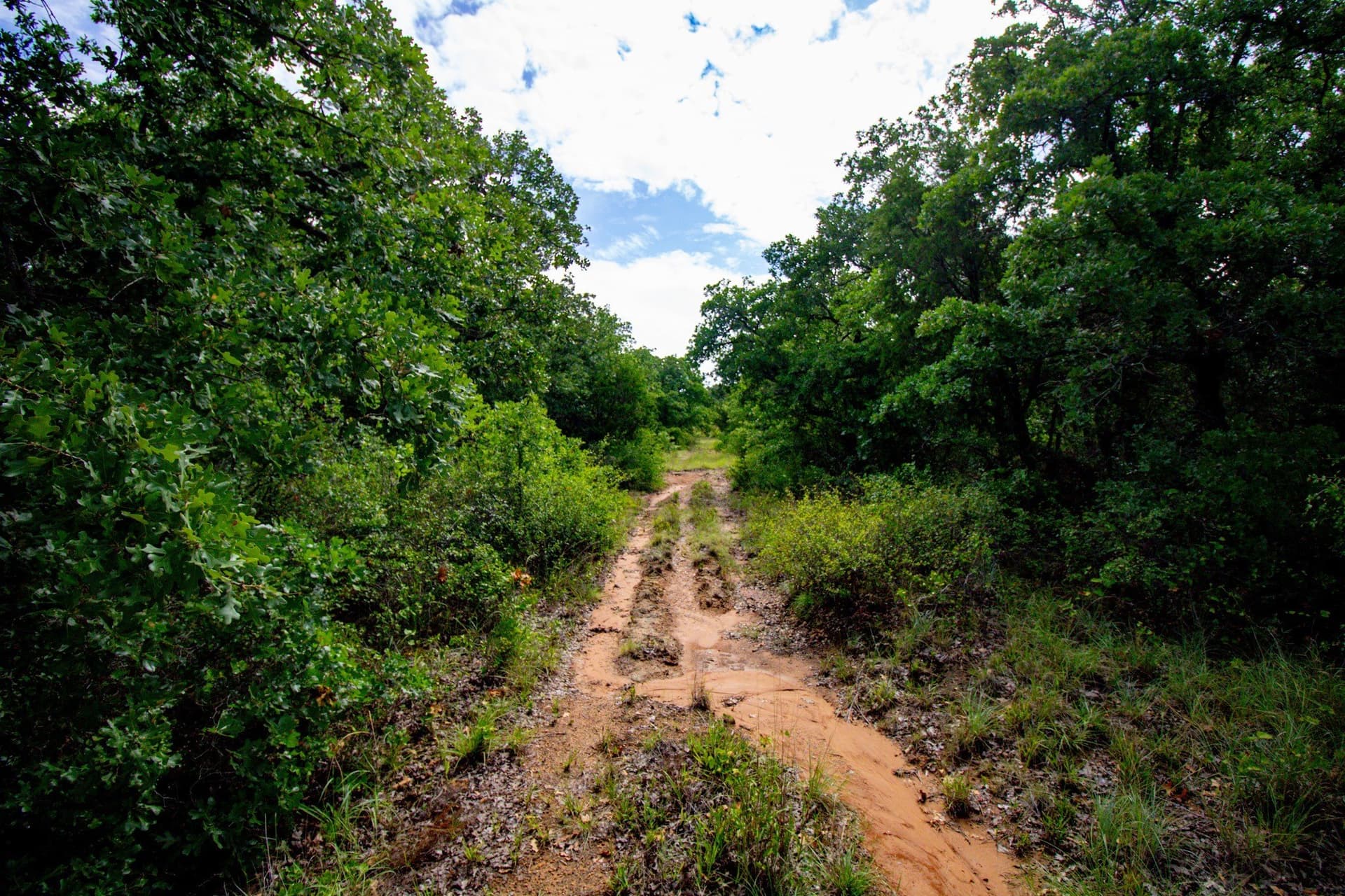 209 acres in Jack County - photo 11
