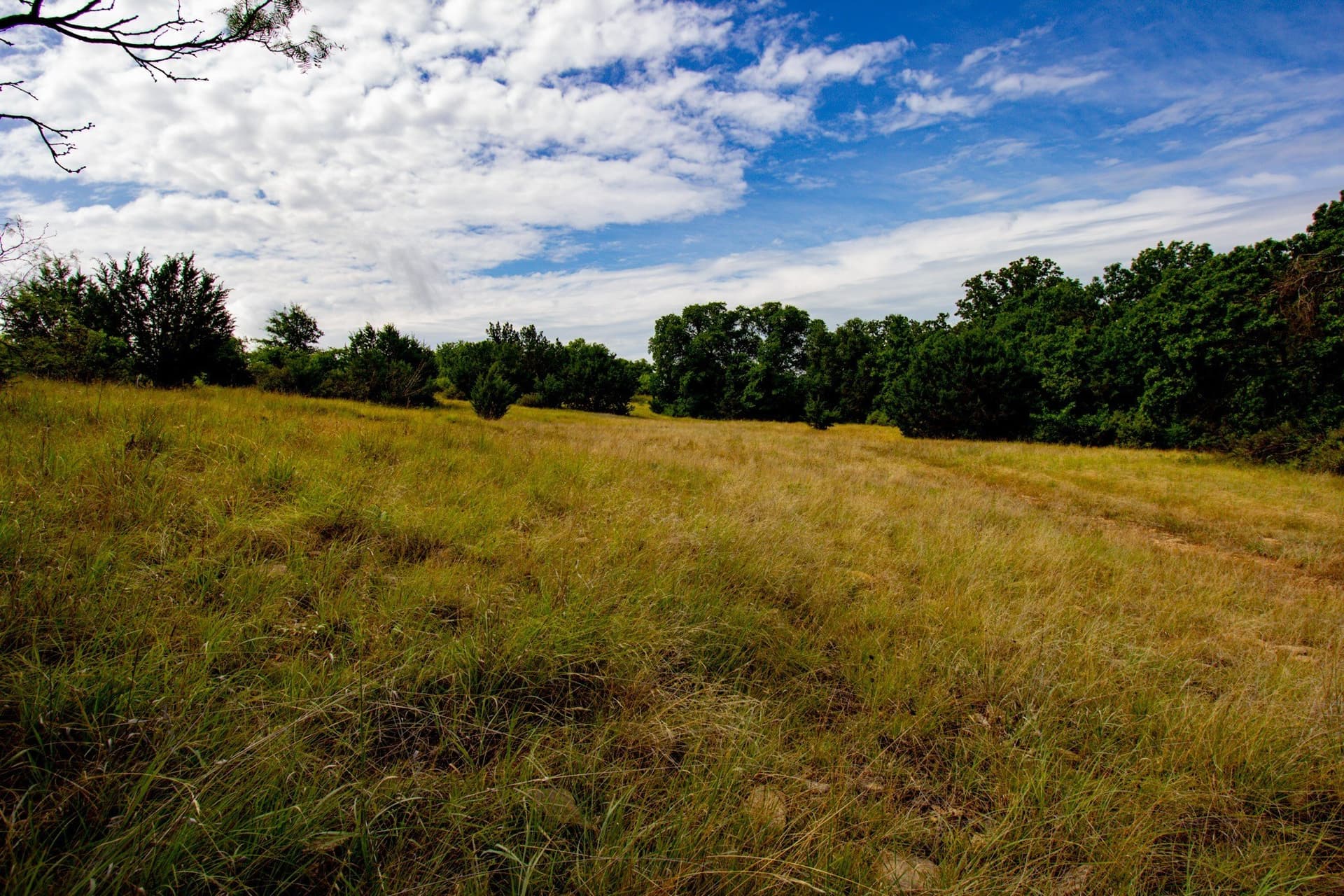 209 acres in Jack County - photo 25