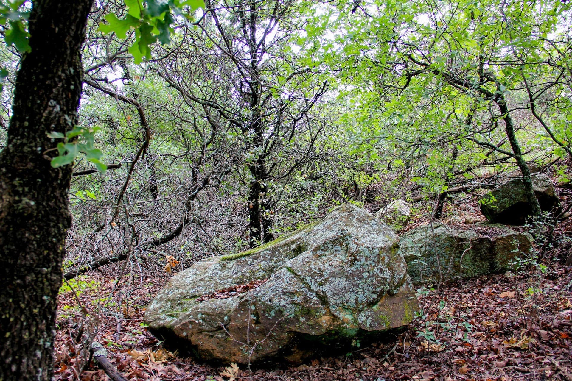 209 acres in Jack County - photo 12