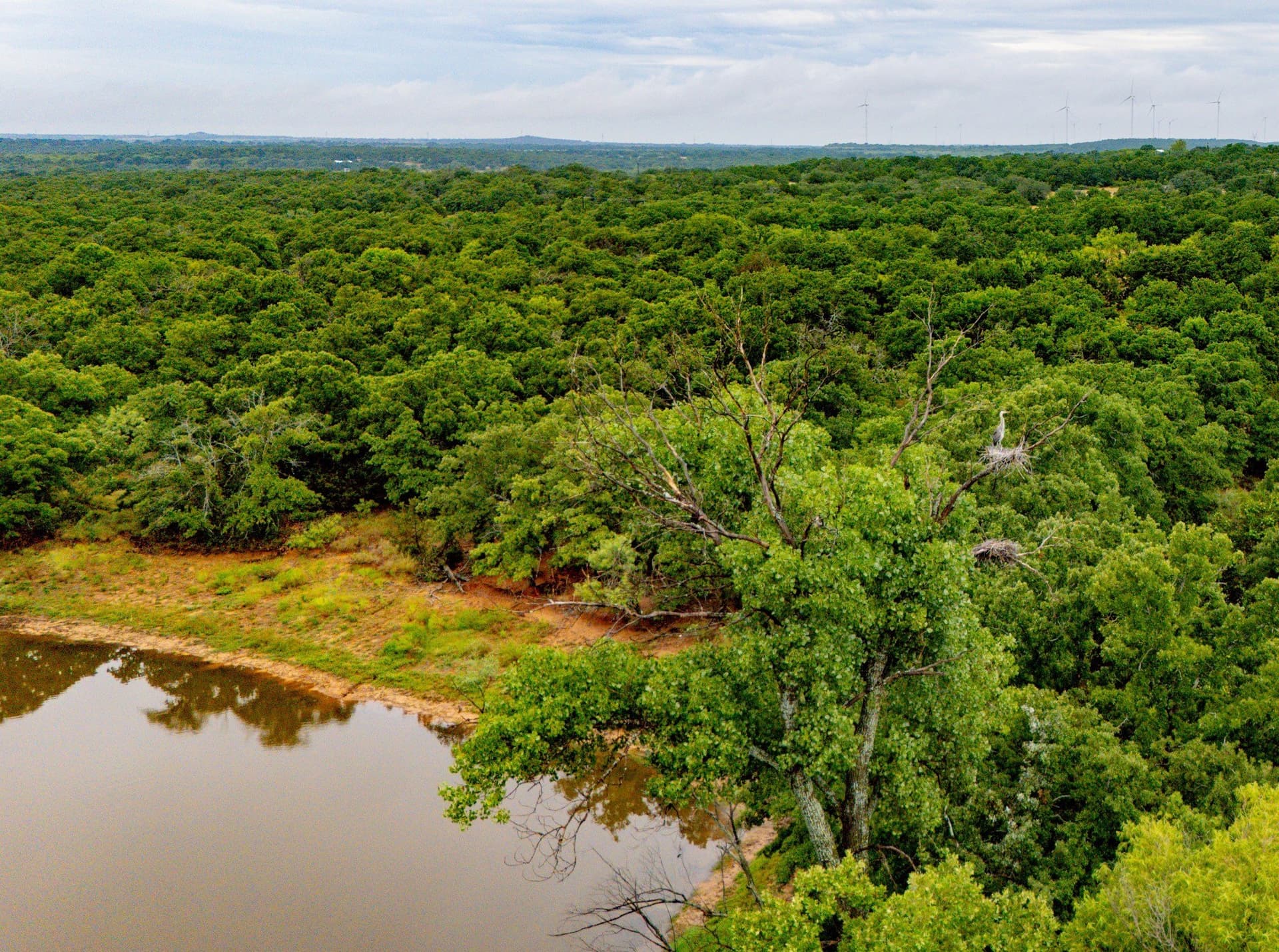 209 acres in Jack County - photo 4