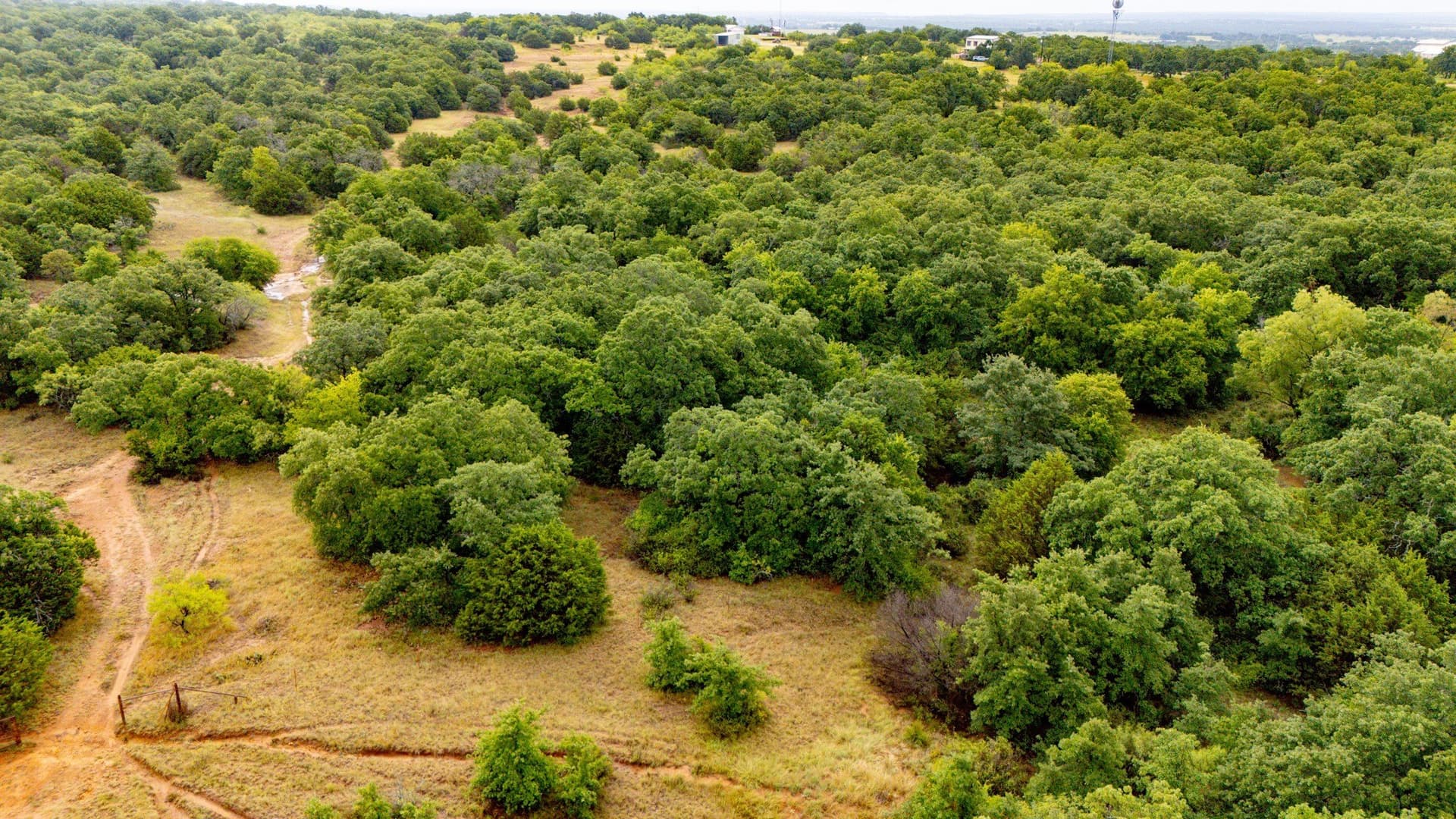209 acres in Jack County - photo 9