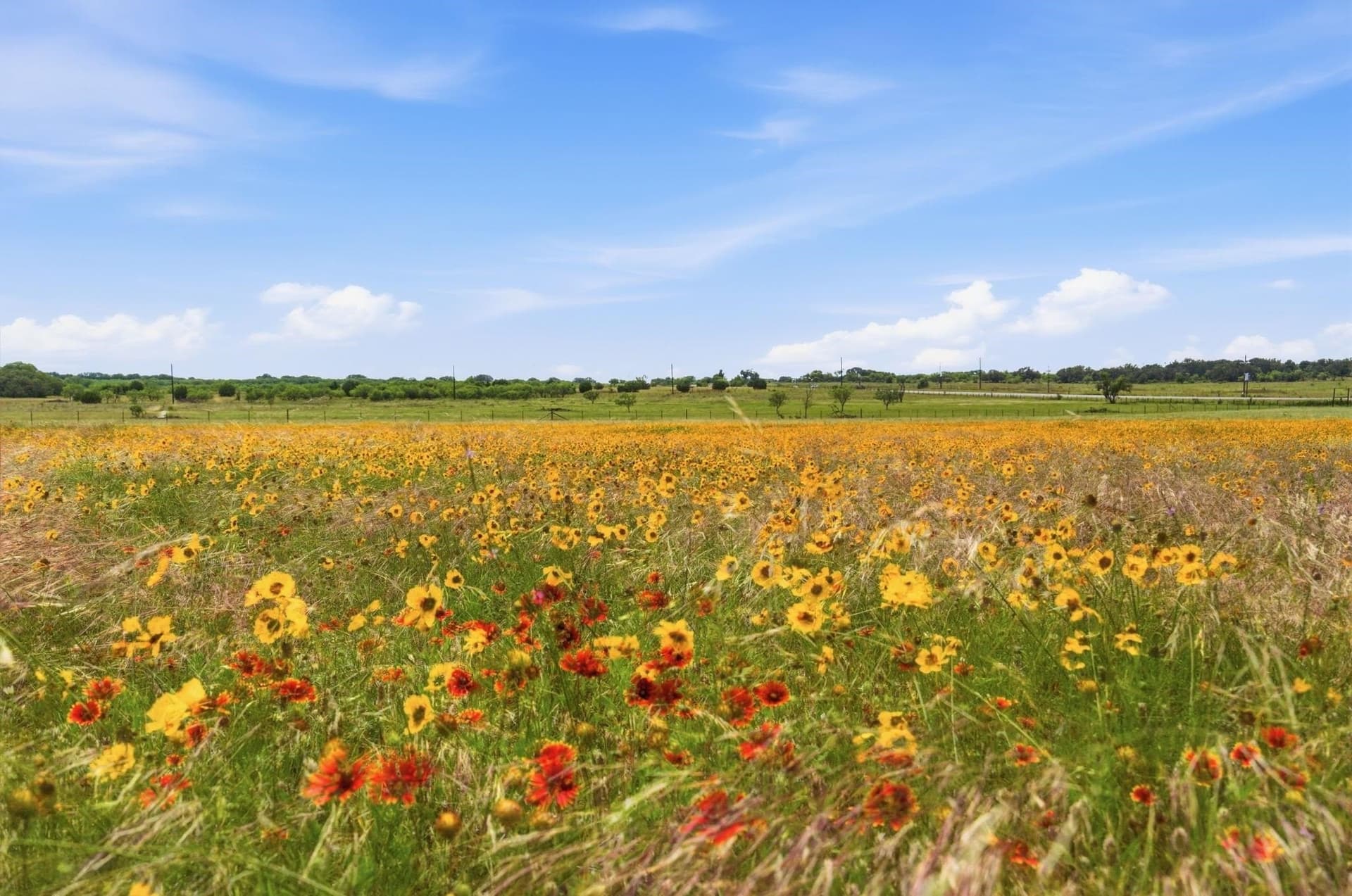 20 acres in Mills County - photo 45