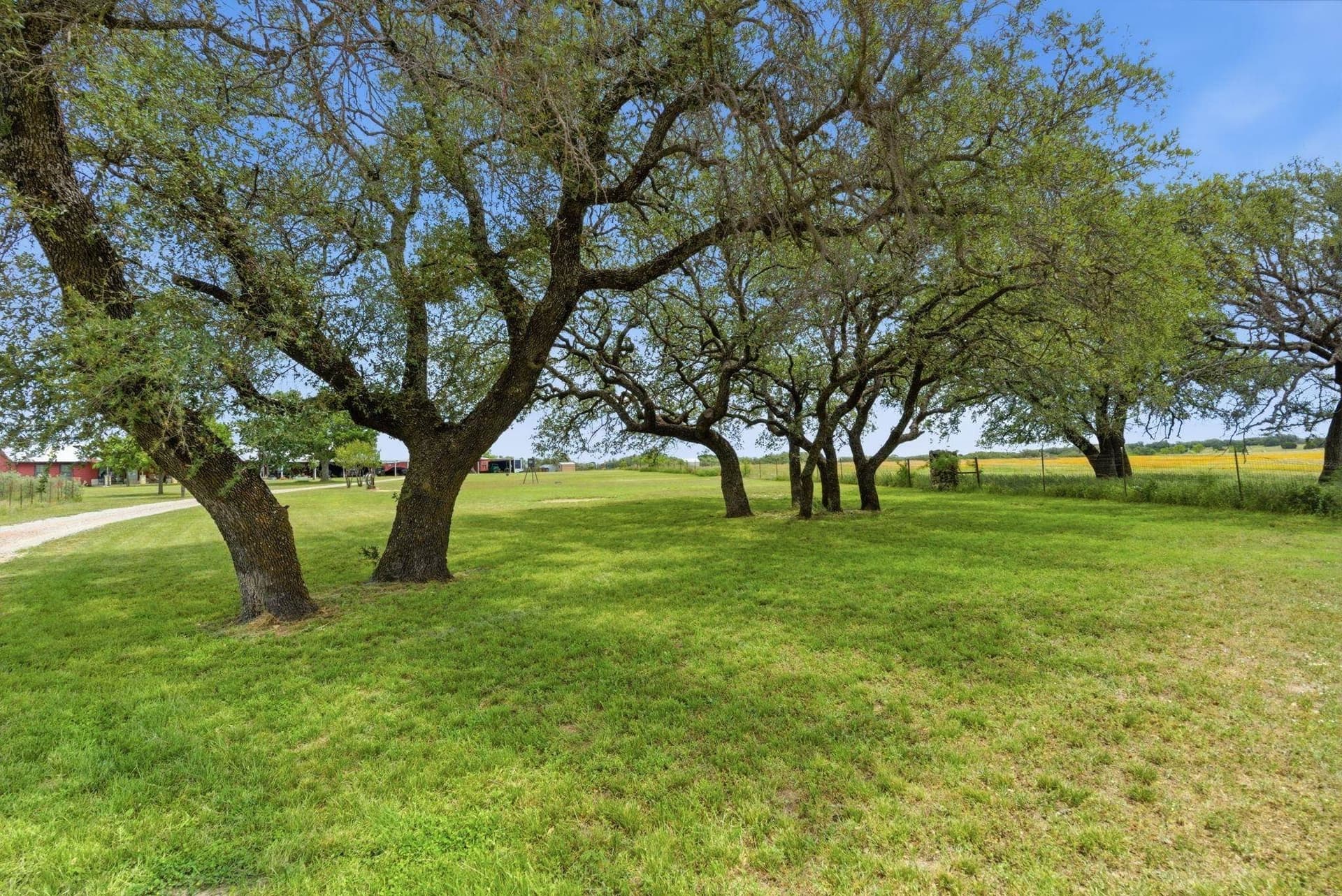 20 acres in Mills County - photo 29