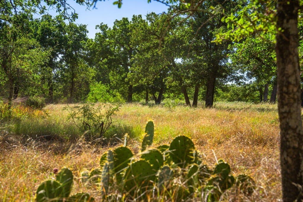 4.05 acres in Gillespie County - photo 13
