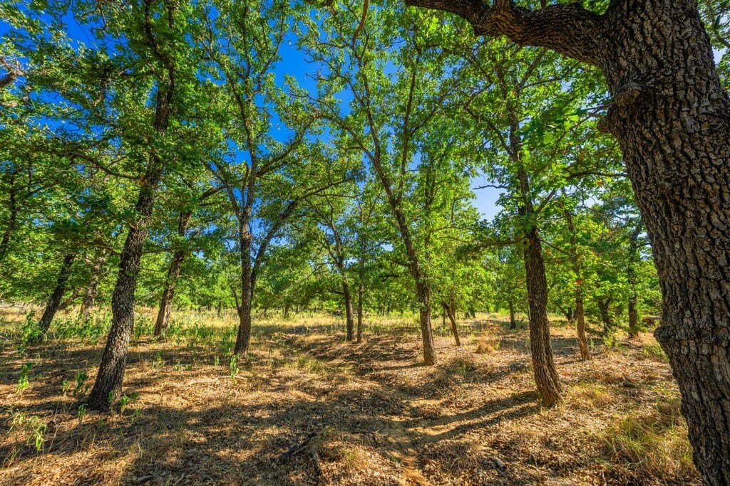 4.05 acres in Gillespie County - photo 4