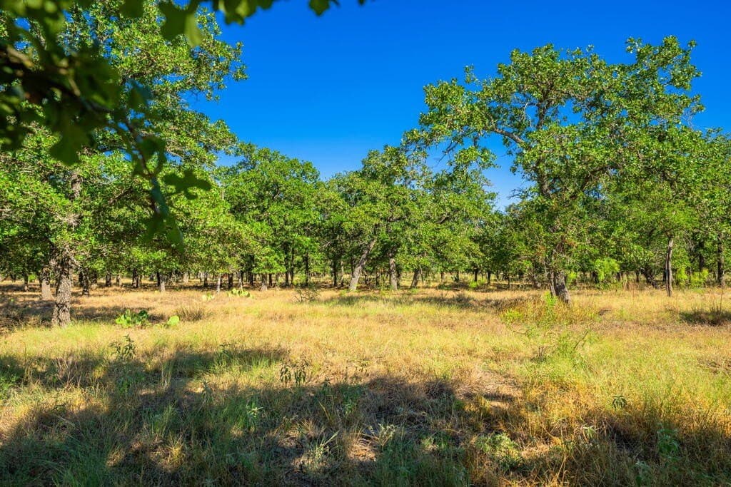 4.05 acres in Gillespie County - photo 6