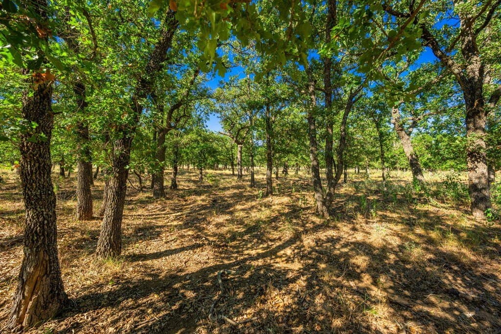 4.05 acres in Gillespie County - photo 8