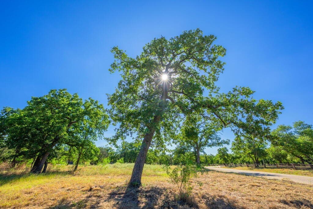 4.05 acres in Gillespie County - photo 11