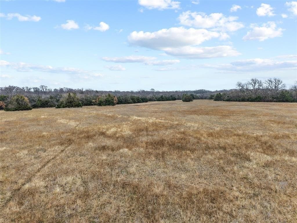 39.91 acres in Fannin County gallery image 4