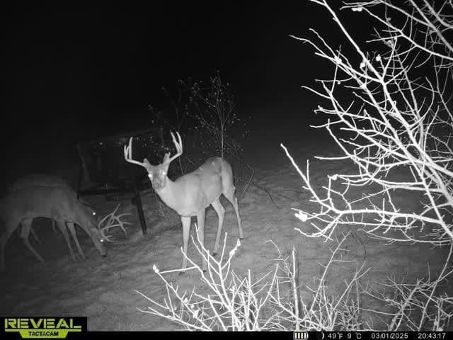 98 acres in Hill County gallery image 3