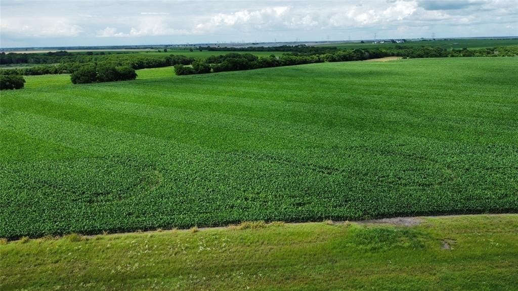 98 acres in Hill County gallery image 4