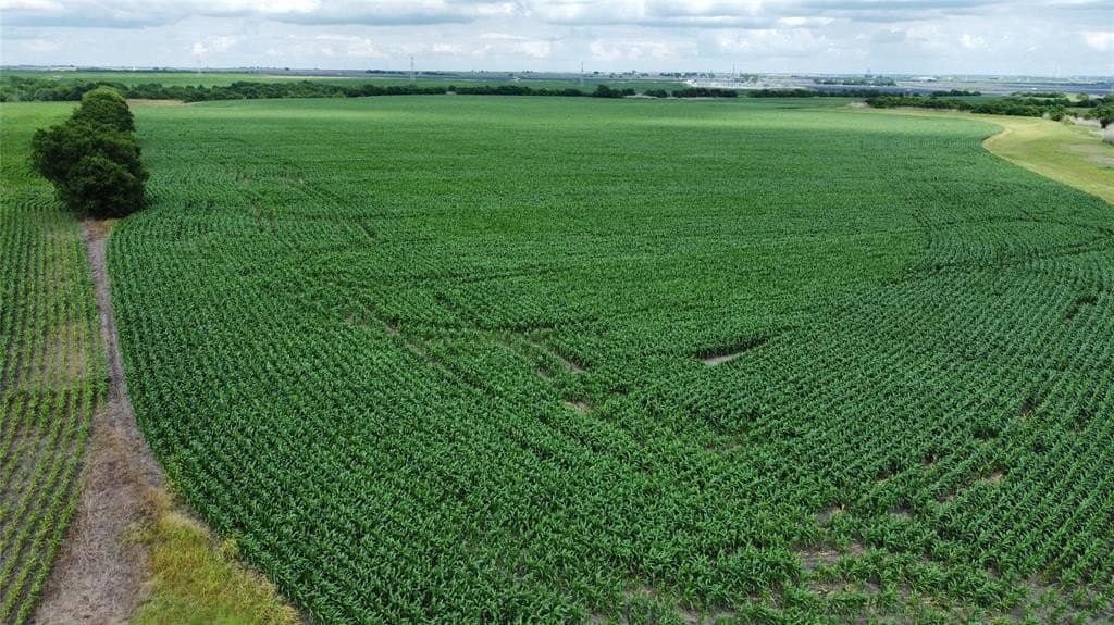 98 acres in Hill County