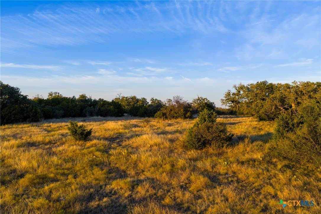 392.3 acres in Burnet County gallery image 4