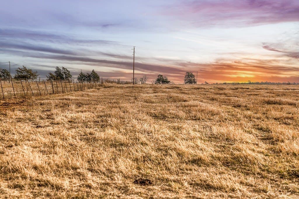 12 acres in Burleson County - photo 6