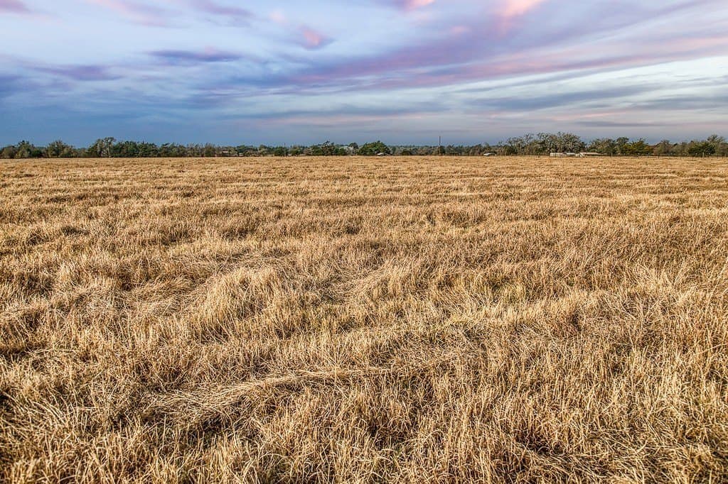 12 acres in Burleson County - photo 9