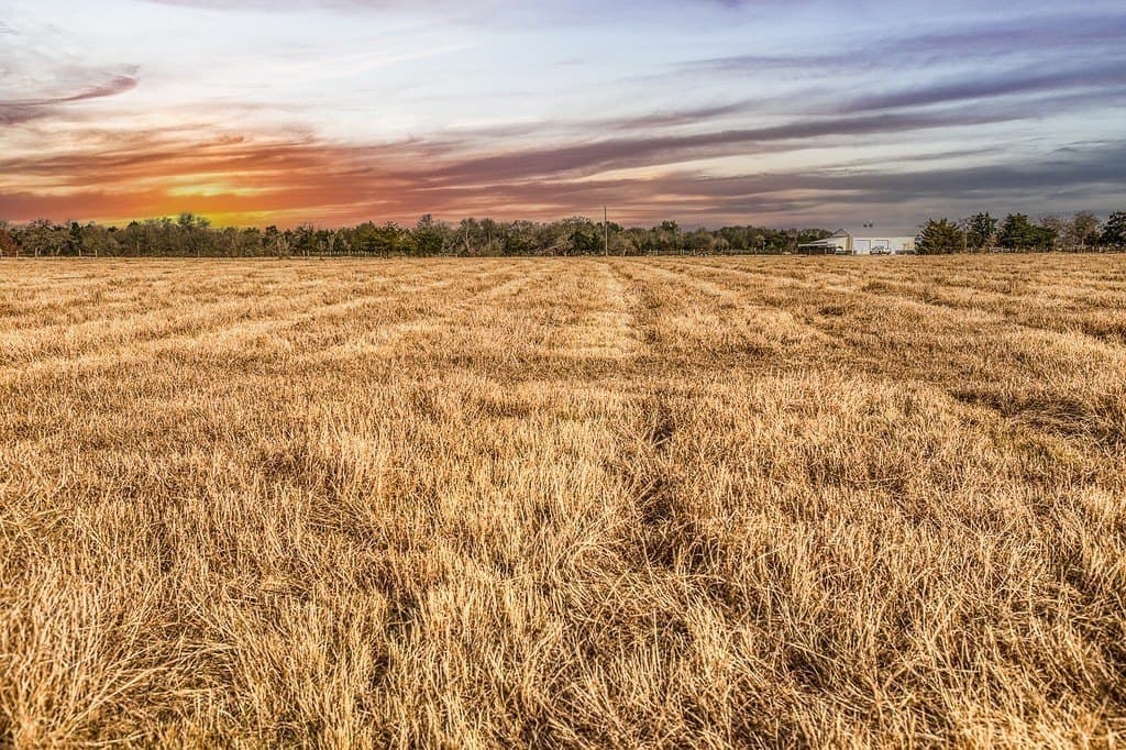 12 acres in Burleson County - photo 8
