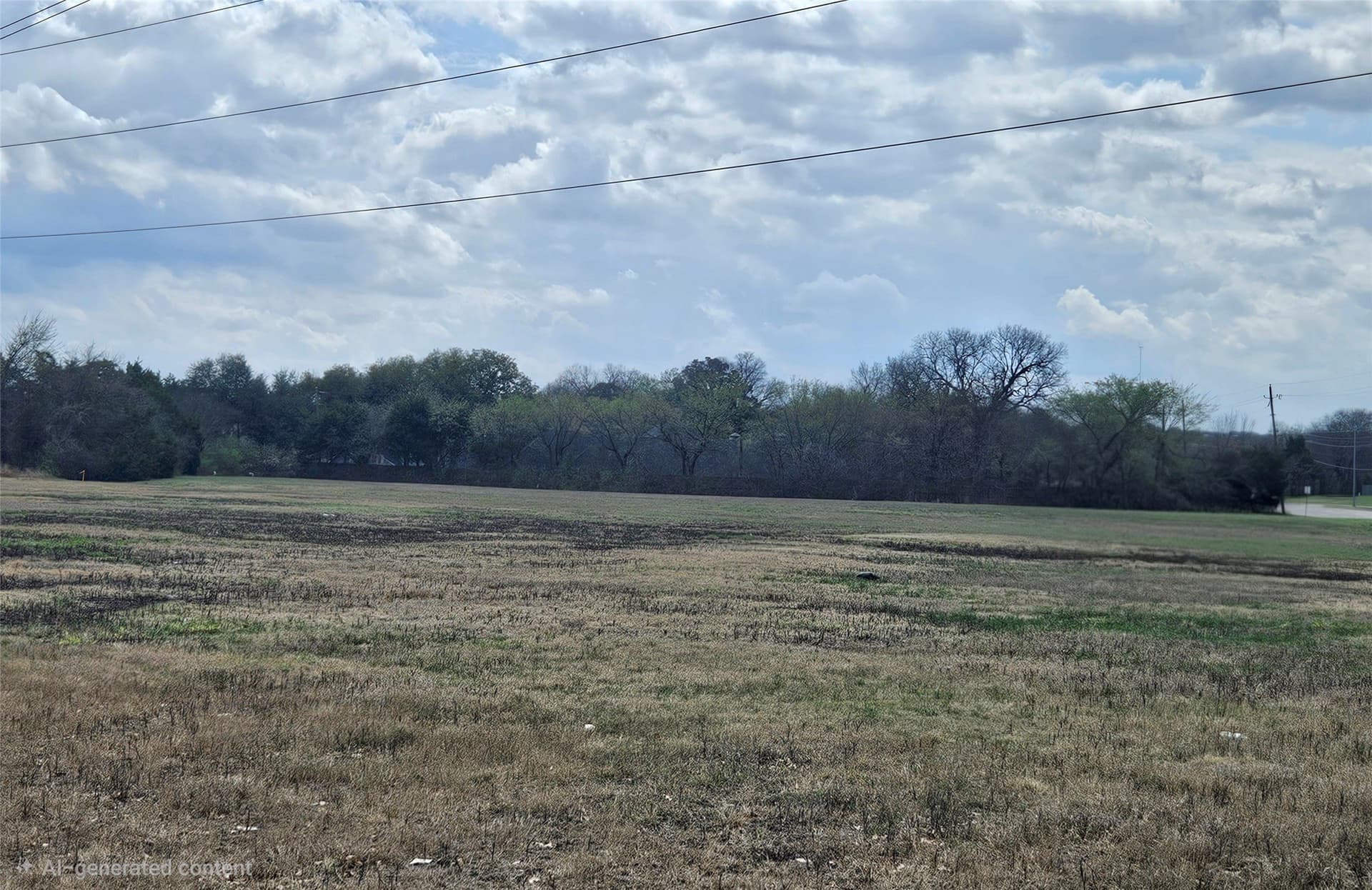 2.71 acres in Dallas County