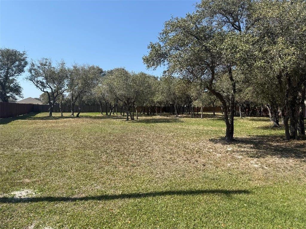0.53 acres in San Patricio County - photo 4