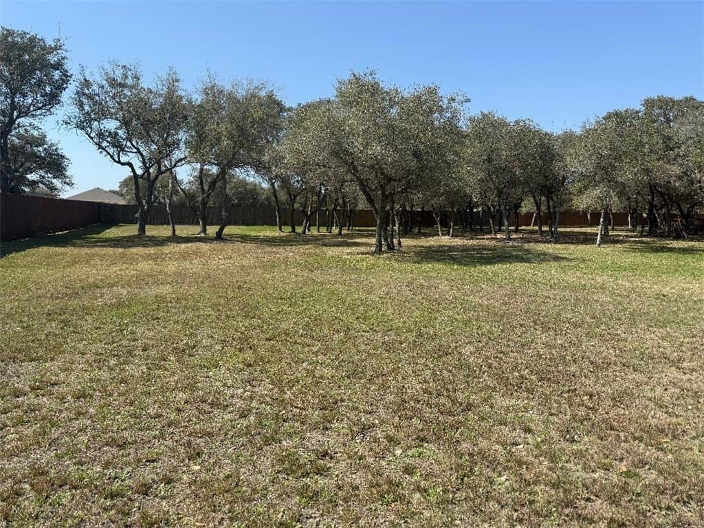 0.53 acres in San Patricio County - photo 5