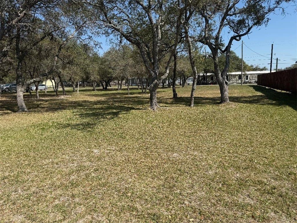 0.53 acres in San Patricio County - photo 6