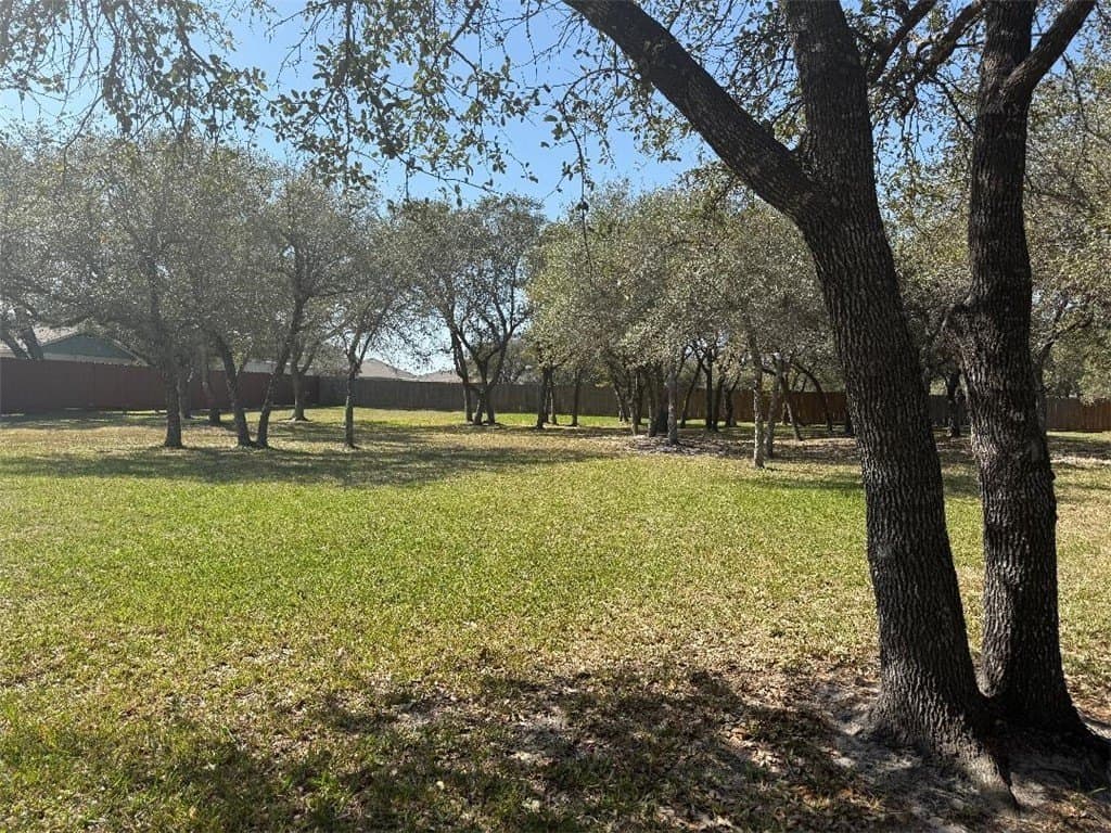 0.53 acres in San Patricio County - photo 2