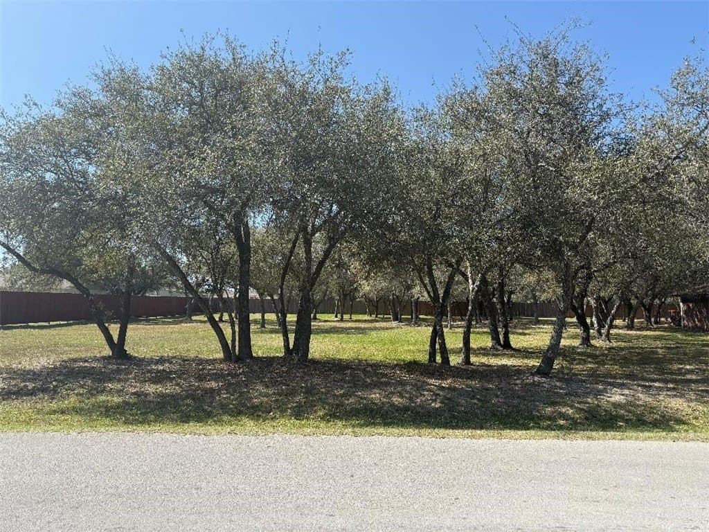 0.53 acres in San Patricio County - photo 9