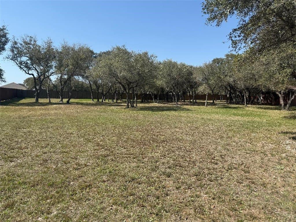 0.53 acres in San Patricio County - photo 3