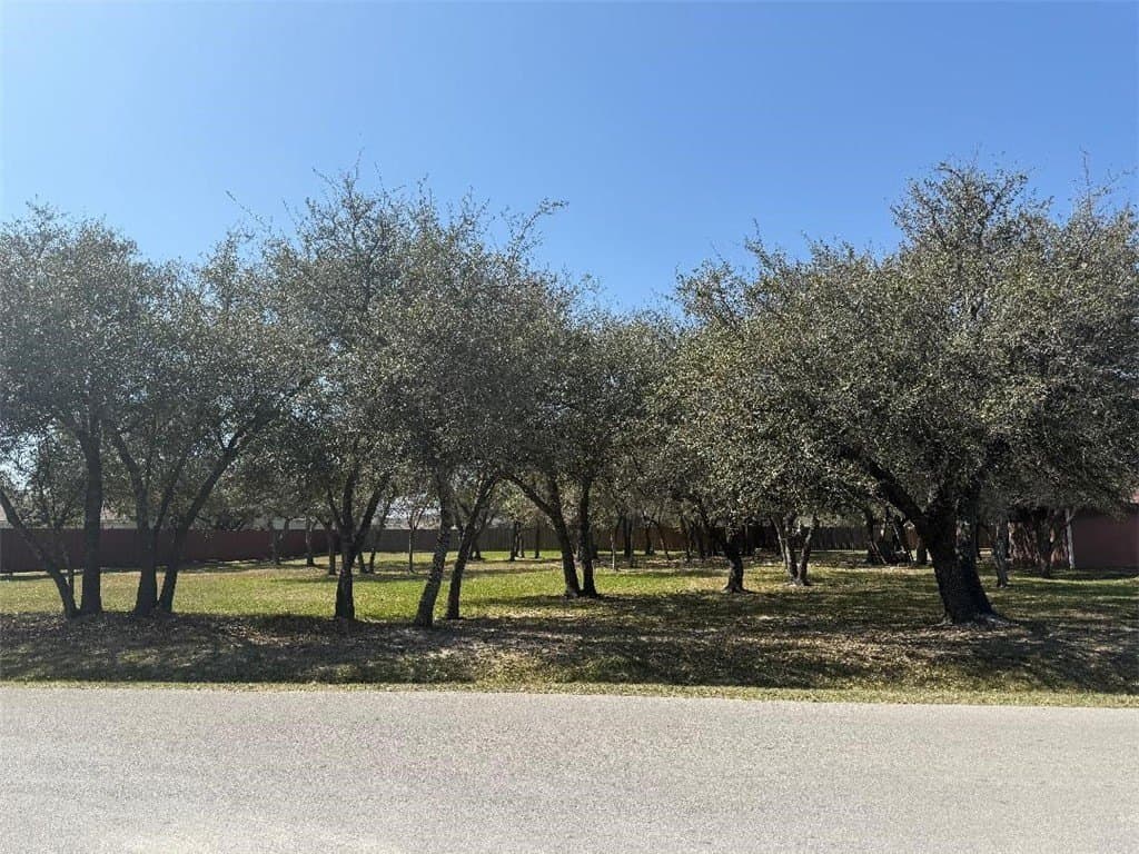 0.53 acres in San Patricio County - photo 10